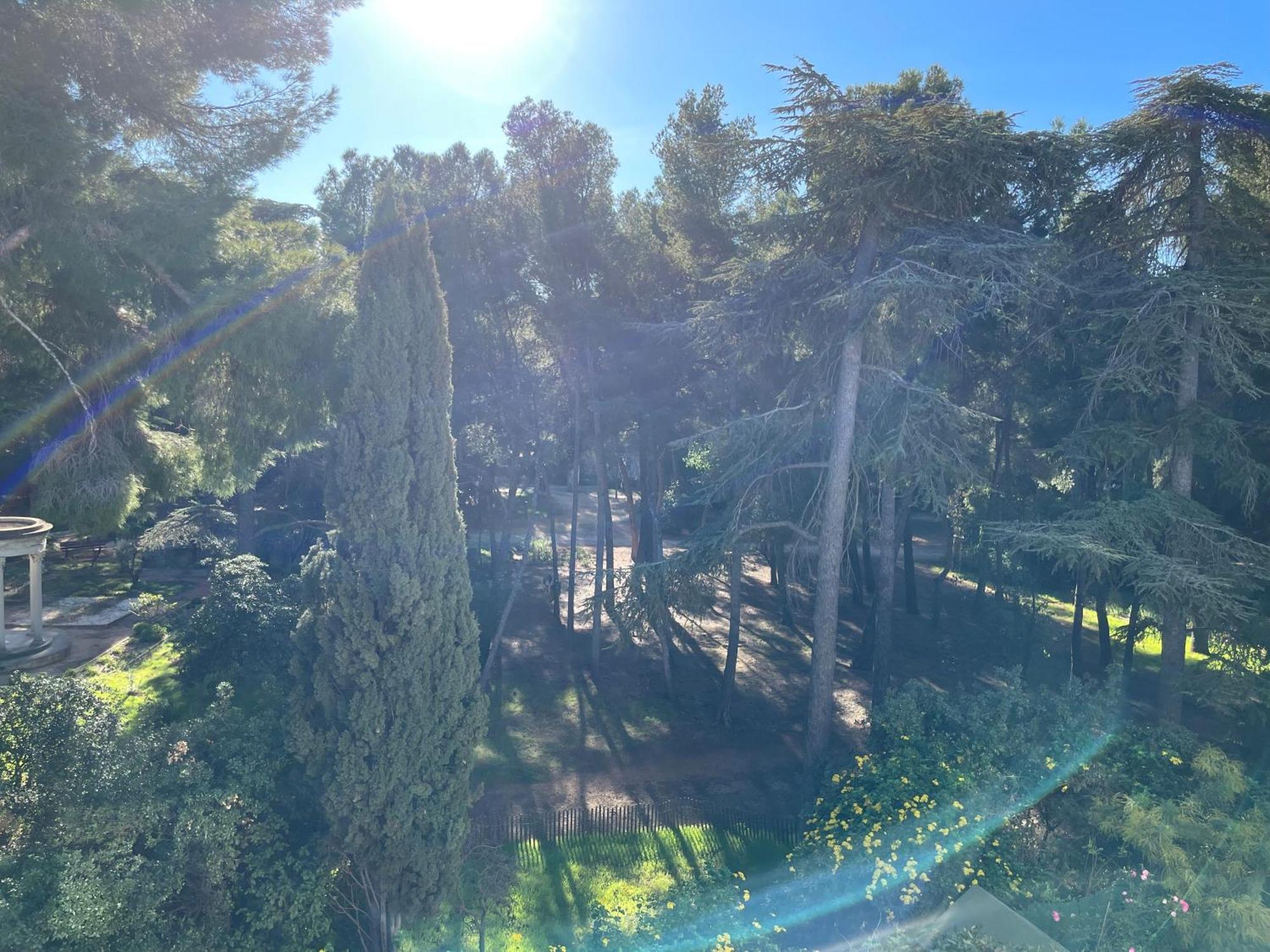 Bandol - Plage De Renecros エクステリア 写真